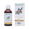 Teinture mère | Extrait de plante - Ortie piquante BIO - Herbiolys Teinture mère | Extrait de plante - Ortie piquante BIO - Herbiolys
