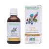 Teinture mère | Extrait de plante - Pavot de californie BIO - Herbiolys Teinture mère | Extrait de plante - Pavot de californie BIO - Herbiolys