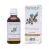 Teinture mère | Extrait de plante - Petite Pervenche BIO - Herbiolys Teinture mère | Extrait de plante - Petite Pervenche BIO - Herbiolys