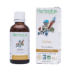 Teinture mère | Extrait de plante - Safran BIO - Herbiolys Teinture mère | Extrait de plante - Safran BIO - Herbiolys