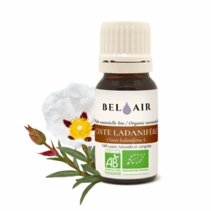 Huile Essentielle - Ciste Ladanifère BIO Huile Essentielle - Ciste Ladanifère BIO