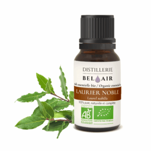 Huile Essentielle - Laurier noble BIO Huile Essentielle - Laurier noble BIO