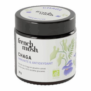 Extrait de Chaga biologique en poudre - Champignon médicinal Extrait de Chaga biologique en poudre - Champignon médicinal
