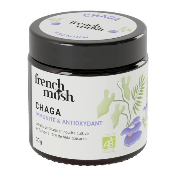 Extrait de Chaga biologique en poudre - Champignon médicinal Extrait de Chaga biologique en poudre - Champignon médicinal