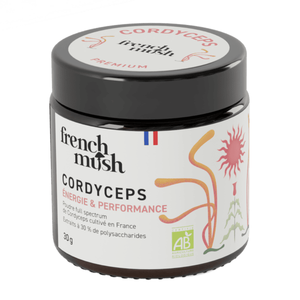 Extrait de Cordyceps biologique en poudre - Champignon médicinal Extrait de Cordyceps biologique en poudre - Champignon médicinal