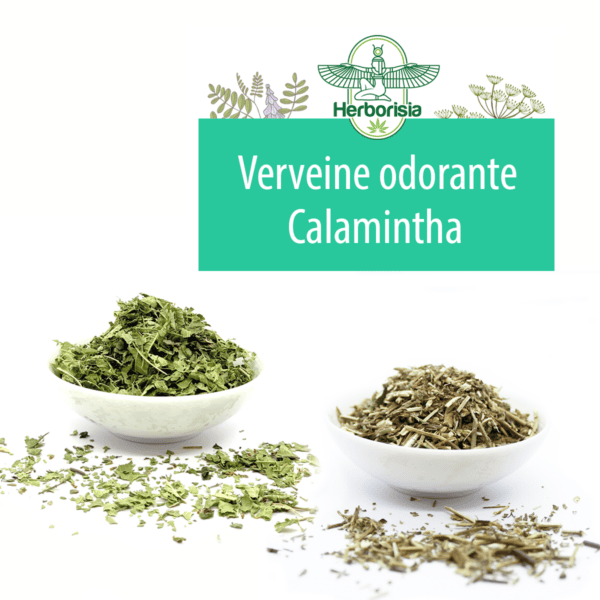 Tisane Duo Verveine Odorante & Calamintha Tisane Duo Verveine Odorante & Calamintha