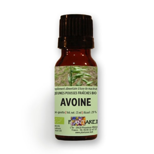 Avoine BIO – Jeunes pousses – Gemmothérapie | Macérat Avoine BIO – Jeunes pousses – Gemmothérapie | Macérat