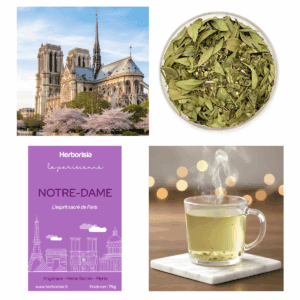 Infusion "Notre-Dame" - Collection La Parisienne