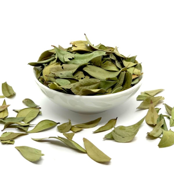 Myrte BIO | Feuilles entières Myrte BIO | Feuilles entières