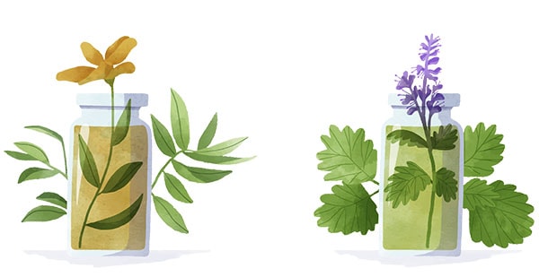 Herboristerie Paris - Spécialisée en vaporisation et CBD 4
