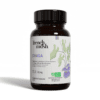 Extrait de Chaga biologique en gélule - Champignon médicinal