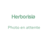 HERBORISIA-Photo en attente Tisane "Maux de Gorge"