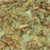 Infusion RESPIRE - Garden Of Abi & Herborisia Infusion RESPIRE - Garden Of Abi & Herborisia