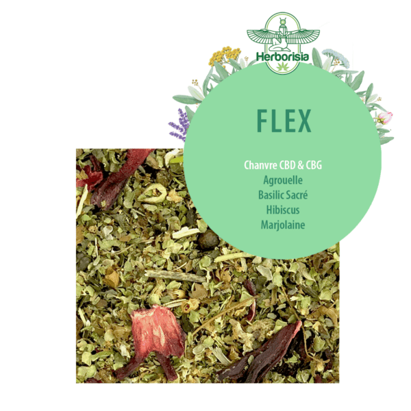 Tisane CBD & CBG "FLEX" Tisane CBD & CBG "FLEX"