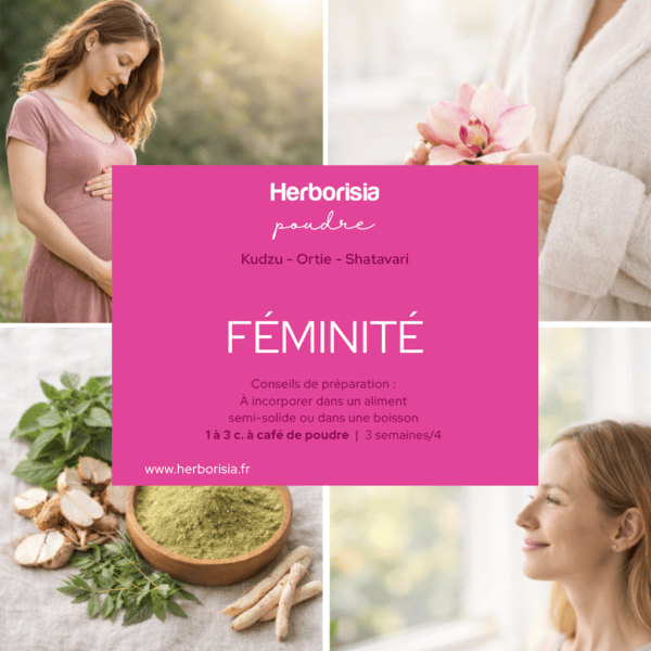Plantes en poudre "Féminité" | Sphère hormonale Plantes en poudre "Féminité" | Sphère hormonale