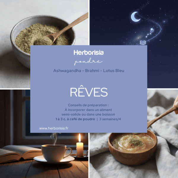 Plantes en poudre "Rêves" | Rêves et Sommeil profond Plantes en poudre "Rêves" | Rêves et Sommeil profond