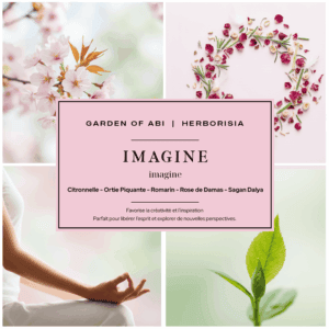 Infusion "IMAGINE" - Collection Garden Of Abi & Herborisia | Créativité & Inspiration