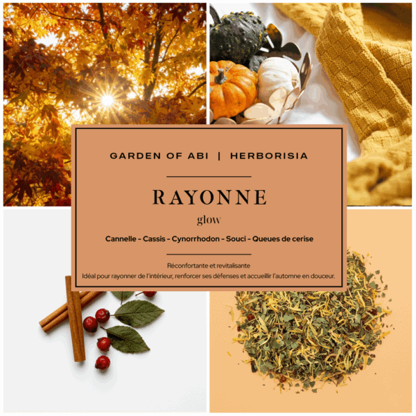 Infusion "RAYONNE" - Collection Garden Of Abi & Herborisia | Réconfortant & Revitalisant Infusion "RAYONNE" - Collection Garden Of Abi & Herborisia | Réconfortant & Revitalisant