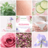 ROSAMAI-INSTAGRAM-Compo 9 Infusion "Rosamai" | Création Originale autour de la Rose