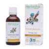 Teinture mère | Extrait de plante - Grand Plantain BIO - Herbiolys