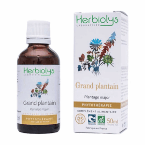 Teinture mère | Extrait de plante - Grand Plantain BIO - Herbiolys Teinture mère | Extrait de plante - Grand Plantain BIO - Herbiolys