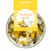 TROPICAL MUSE-VIGNETTE-1200x1200 Infusion fraîche de fruits « Tropical Muse » | Collection Summer Vibes