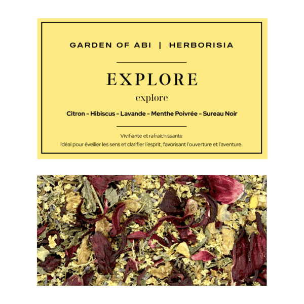 EXPLORE-VIgnette-1200x1200px Infusion "EXPLORE" - Collection Garden Of Abi & Herborisia | Vivifiant & Raffraîchissant
