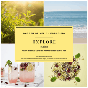 Infusion "EXPLORE" - Collection Garden Of Abi & Herborisia | Vivifiant & Raffraîchissant