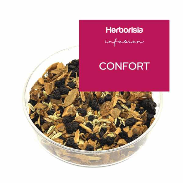 Tisane "Confort" | Puissance épicée & Bien-être digestif Tisane "Confort" | Puissance épicée & Bien-être digestif