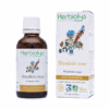 Teinture mère | Extrait de plante - Rhodiole BIO 50ml Teinture mère | Extrait de plante - Rhodiole BIO 50ml