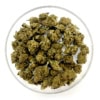 Mini Fleur CBD BlueDream - Small Buds | Cultivée en France 🇫🇷