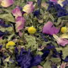 Tisane "Toi & Moi" | Grossesse et enfants Tisane "Toi & Moi" | Grossesse et enfants