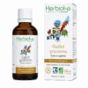 Teinture mère | Extrait de plante - Gaillet gratteron BIO 50ml Teinture mère | Extrait de plante - Gaillet gratteron BIO 50ml